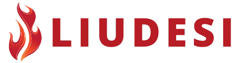 liudesi.com